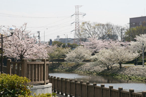 img_6939web