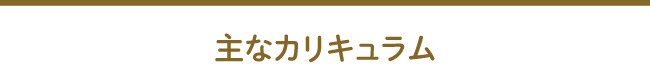 主なカリキュラム